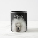 Recherche de poodle tasses Caniche standard