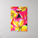 Recherche de plumeria art Rose