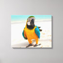 Suche nach sand und weiß poster leinwandbilder Sandsand