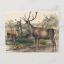 Recherche de perse cartes postales Illustration