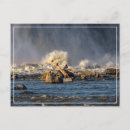 Recherche de brut cartes postales Pour tous