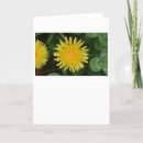 Suche nach lust karten Blume