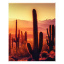 Suche nach wüstenkaktus poster Landschaft