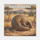 Suche nach südafrika magnete Natur