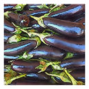 Suche nach aubergine poster Nahrung