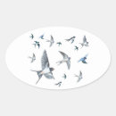 Suche nach bird Vogelvogel