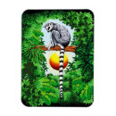 Suche nach lemur magnete Wild
