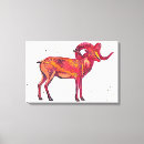 Suche nach marco polo poster Schafe