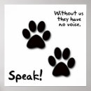 Suche nach cat dog poster Pet
