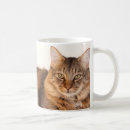 Recherche de cocon tasses Principal