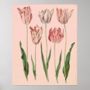 Suche nach vintage tulpen poster Botanisch