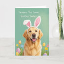 Suche nach ostergrüße karten Frohe ostern