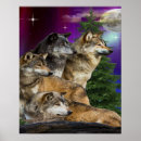 Suche nach wolf und mond poster Natur