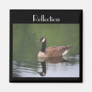 Recherche de du canada magnets Nature