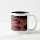 Recherche de organes internes tasses Avant