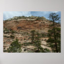 Suche nach abgenutztes poster Natur