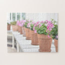 Recherche de pots de fleur photographie Pot de fleurs