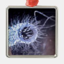 Suche nach bakterien ornamente Ansicht