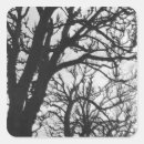 Recherche de paris photographie Jardin