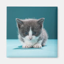 Suche nach aufpassen magnete Katze