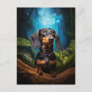 Recherche de dachshund cartes postales Amoureux des chiens