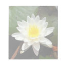 Suche nach makro notizblock Flora