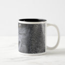 Recherche de tête de singe tasses Partie du corps animale