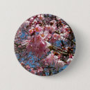 Suche nach kirschblüte blüte buttons Blumenreich