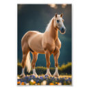 Suche nach quarter horse poster Palomino