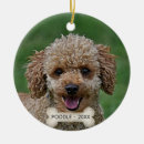 Suche nach pudel alle ornamente Hund
