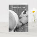 Suche nach funny horse karten Lustiges pferd