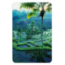 Recherche de riz magnets Voyage