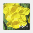 Recherche de narcisse magnets Floral