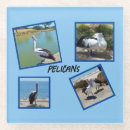 Recherche de repos photographie Oiseau