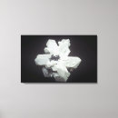 Suche nach namibia leinwandbilder Kristall