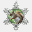 Recherche de écureuil de ornements Animaux