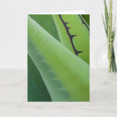 Recherche de agave vœux cartes Flore