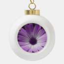 Suche nach lila blume ornamente Fotografie