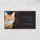 Recherche de poignard Animal