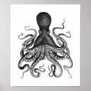 Suche nach octopus illustration poster Meereslebewesen