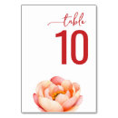 Suche nach pfingstrosen tischkarten Rosa