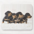 Suche nach wolldecke mousepads Tier