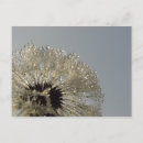 Recherche de gouttelette cartes postales Macro