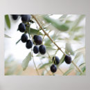 Recherche de jardin olive art Méditerranéen