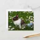 Suche nach kleine blumen postkarten Niedlich