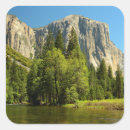 Suche nach sierra nevada aufkleber Natur