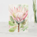 Suche nach protea karten Aquarell