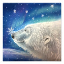 Recherche de pôle nord posters Flocons de neige