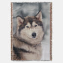 Suche nach husky decken Hund