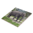 Suche nach asiatische fliesen Tiere